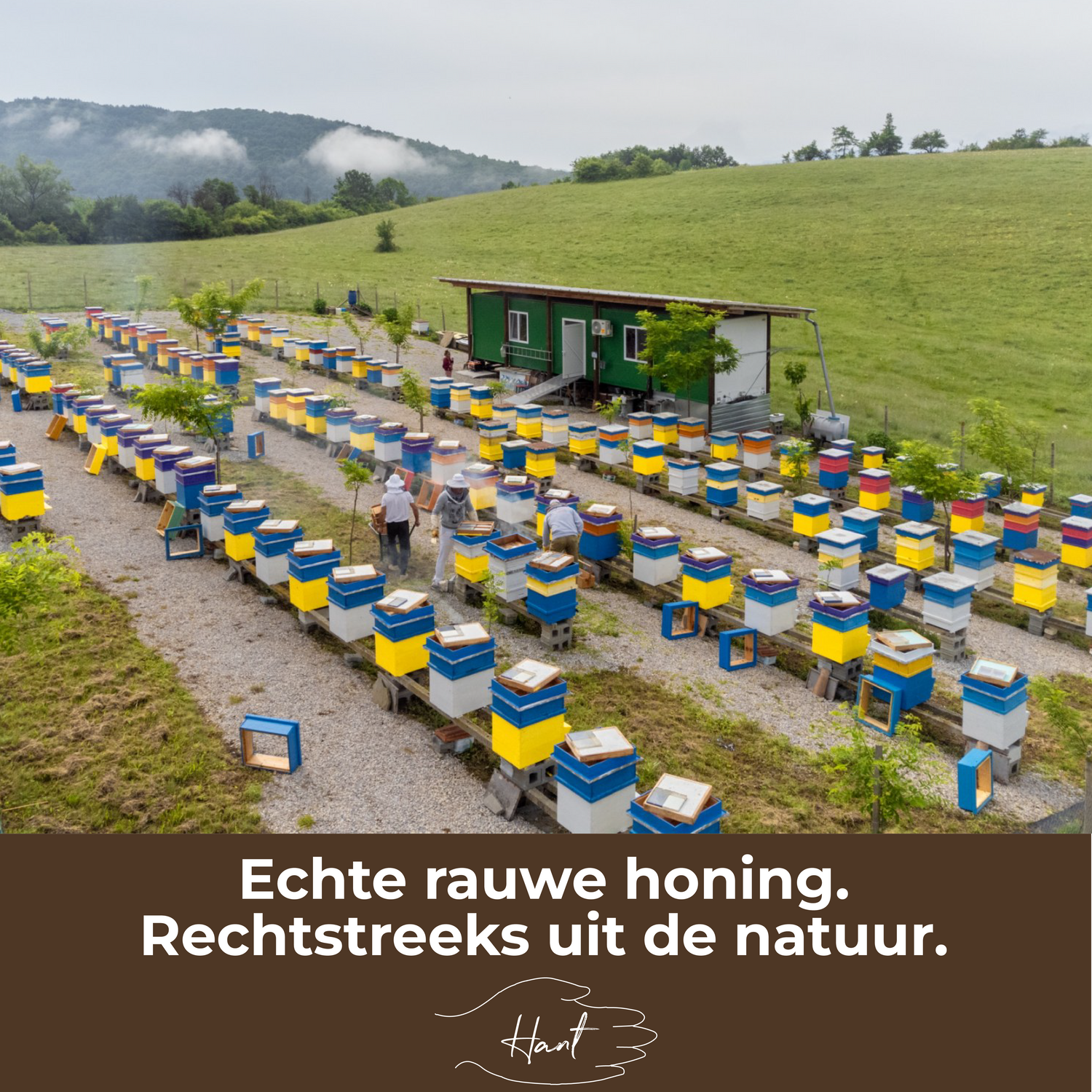 BIO - Rauwe Honing – Onverhit, Ongefilterd & Puur - 100% EU + GRATIS LEPEL - 500g